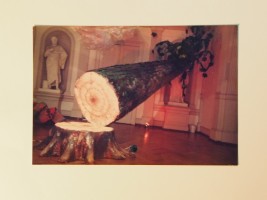 im kleefeld: image 2 0f 4 thumb